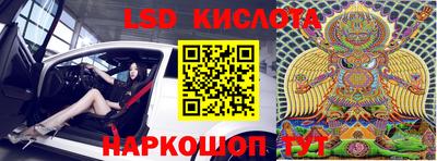 стаф Кулебаки