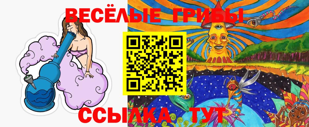 Кириши  Галлюциногенные грибы Cubensis  Псилоцибиновые грибы GOLDEN TEACHER  Вход с VPN 